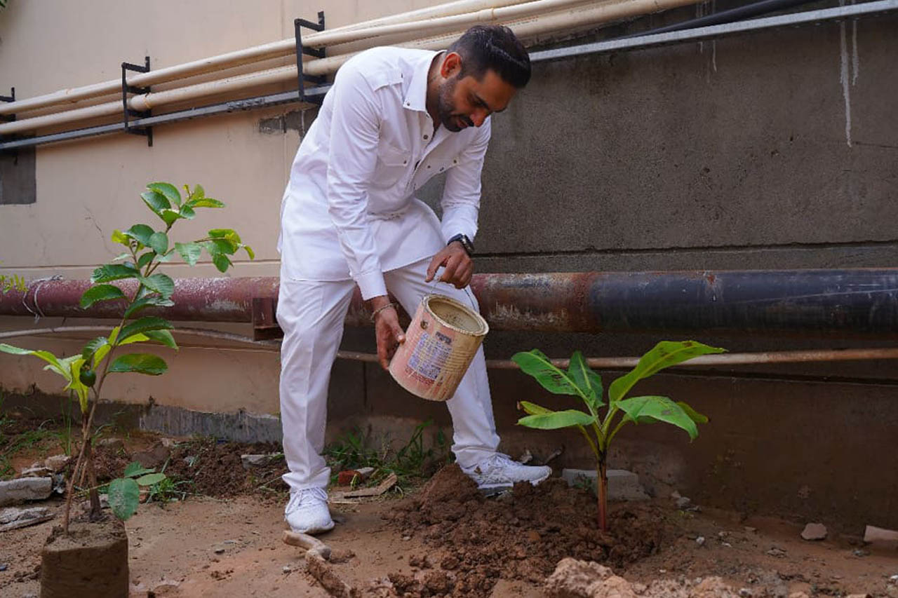 Plantation