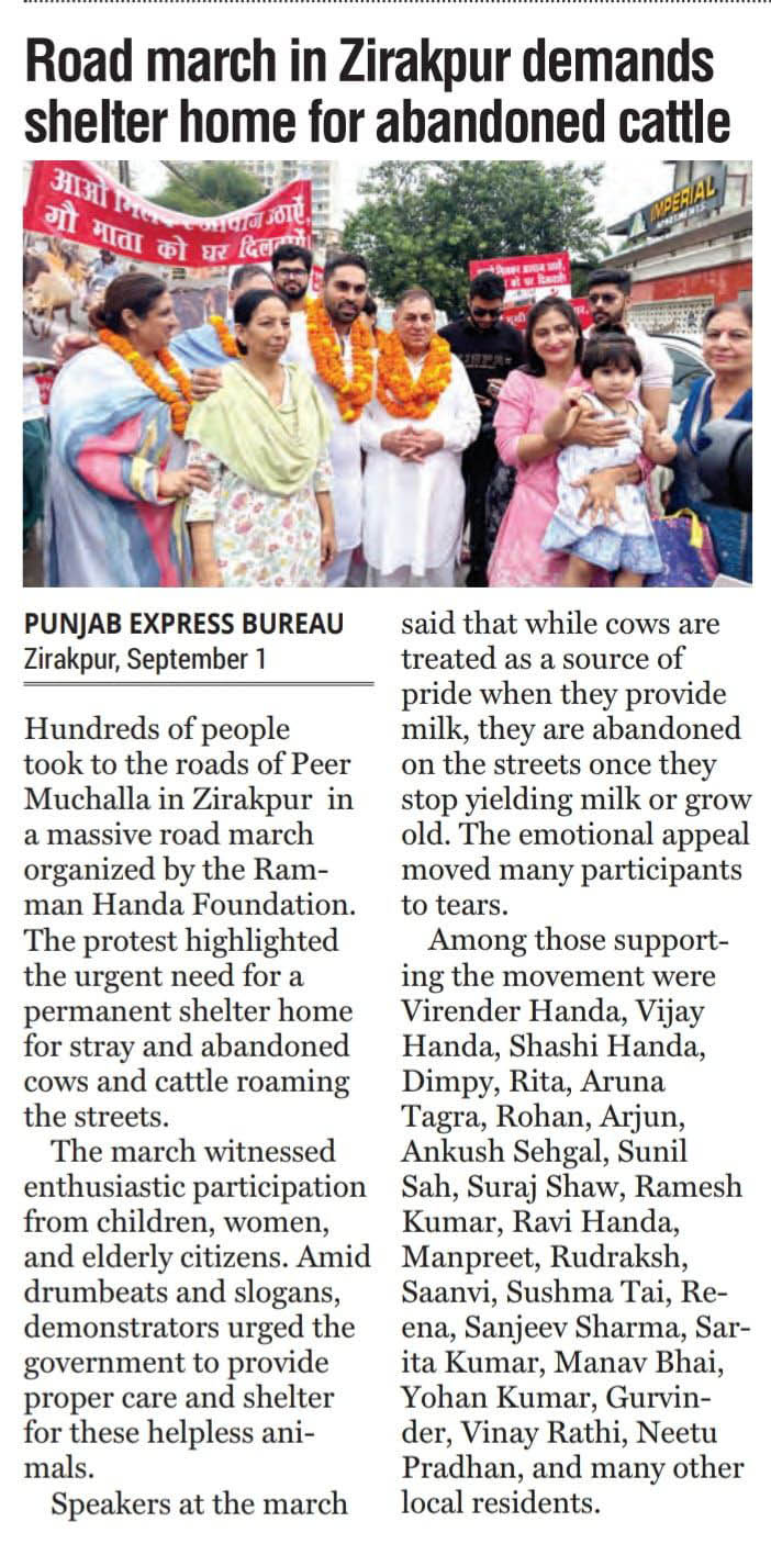 Newspaper